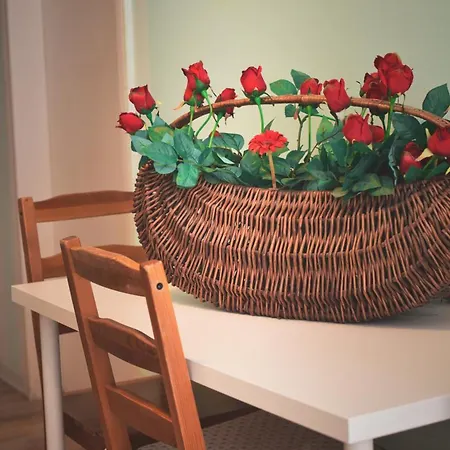 Barcolana Apartment Trieste