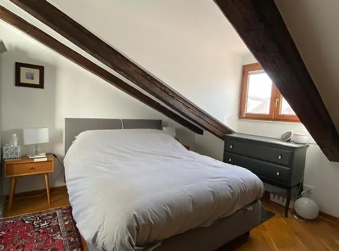 Rive * ترييستي